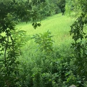 Meet your Posher, Christa